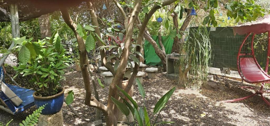 נופש דביר - סוויטות מהממות ובקתה כפרית עם ג'קוזי ליד הכנרת - יש מקלט צמוד Villa Migdal Værelse billede